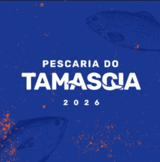 Pescaria do Tamascia